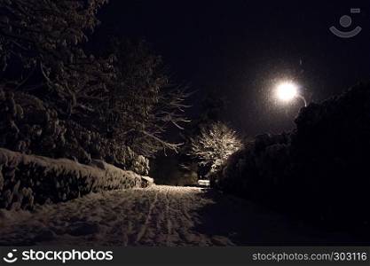 Snowing in the night scene