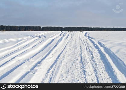 Snowmobile track across the snowy field toward the woods, winter sunny day