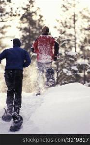 Snowshoeing Near Mount Bachelor