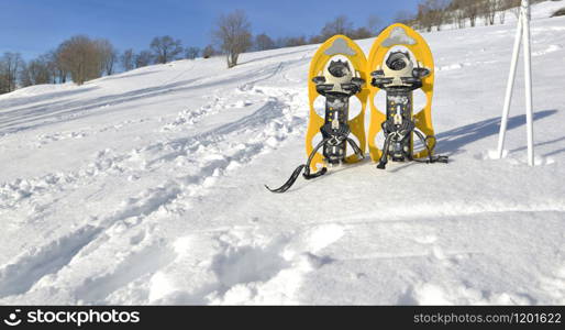 snowshoes and sticks on the snow under blue sky