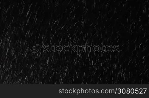 Snowstorm at night. Snowflakes falling against black background. Winter blizzard