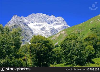 Snowy caucasus mountains and green forest under