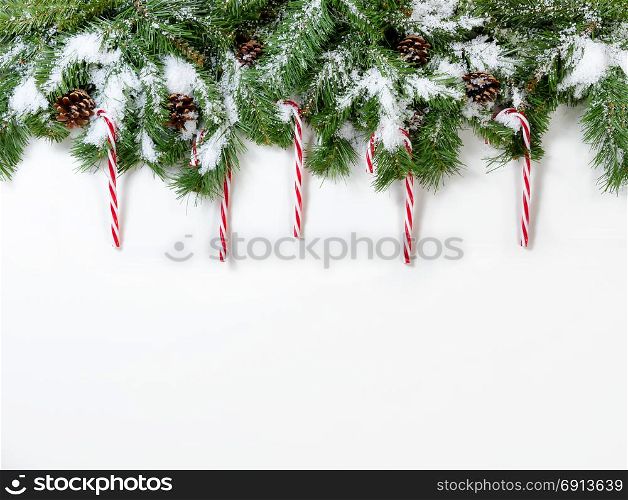 Snowy Christmas fir tree branches with candy canes on white background