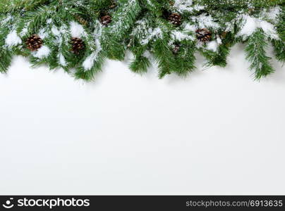 Snowy Christmas tree branches and pinecones on white background