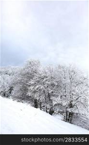 Snowy countryside