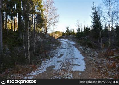Snowy dirt road winding through the forest