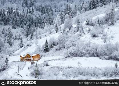Snowy forest with house on mountain slope in winter. Snowy forest with house on mountain slope