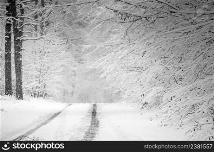 Snowy frozen winter road. Tire tracks in the snow. Snow covered winter trees and road. Black and white winter. The road in the winter. Forest after sleet. Monochrome winter forest landscape.