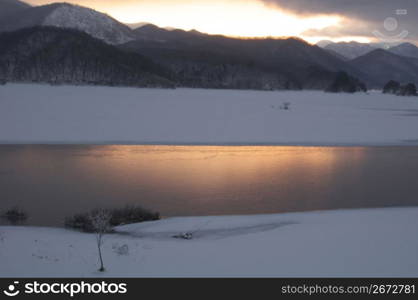 Snowy landscape