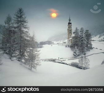 Snowy landscape