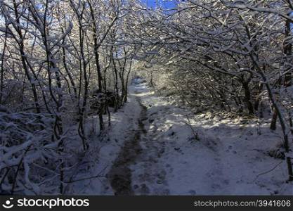 snowy landscape with blue sky and white clouds