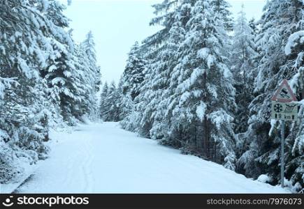Snowy mountain pass road with fir trees (Austria, Tirol)