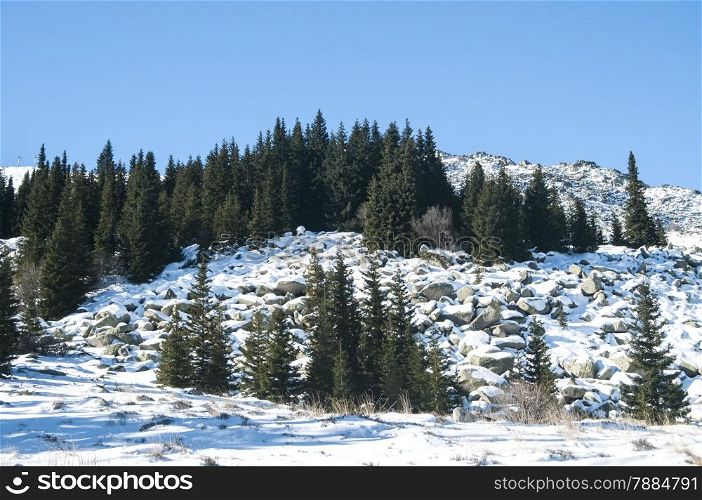 Snowy mountain rock ridge with forest of conifers in sunny winter day