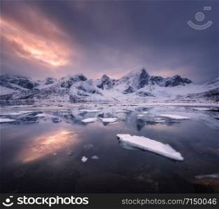 Snowy mountains, blue sea with frosty coast, reflection in water and cloudy sky at colorful sunset in Lofoten islands, Norway. Winter landscape with snow covered rocks, fjord with ice in the evening