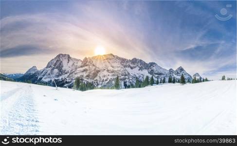 Snowy panorama with the Austrian Alps, the green coniferous forests and a valley covered by white snow.