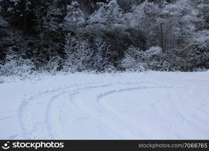 Snowy path into the cold winter forest