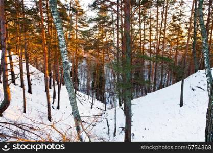 snowy ravine in winter forest at yellow sunset