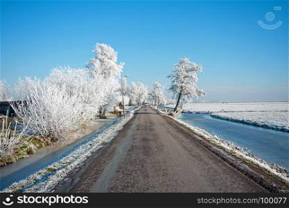 Snowy road in the countryside from the Netherlands in winter