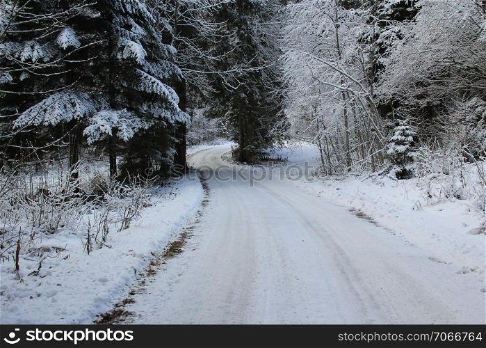 Snowy road into the cold winter forest