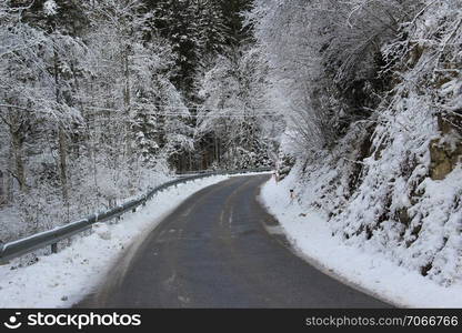 Snowy road into the cold winter forest