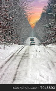 Snowy road through the forest in the countryside from the Netherlands at sunset