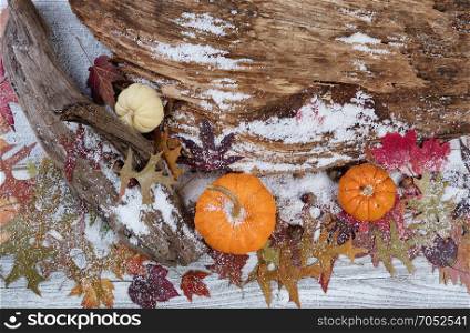 Snowy seasonal Autumn decorations with driftwood and leaves on rustic white wooden boards