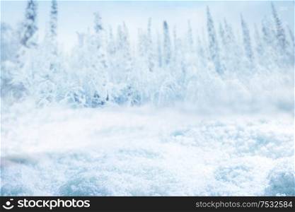 Snowy winter fir forest background, focus on snowdrift. Snowy winter forest background