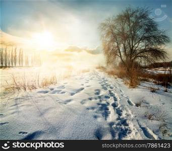 Snowy winter in countryside at sunny morning