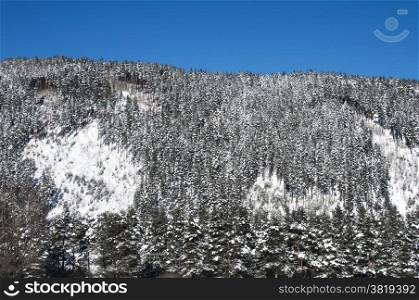 Snowy winter landscape in wooded mountain as background