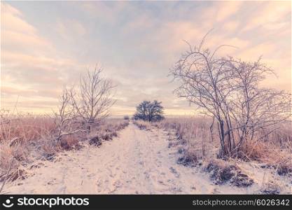 Snowy winter landscape with a path in the morning