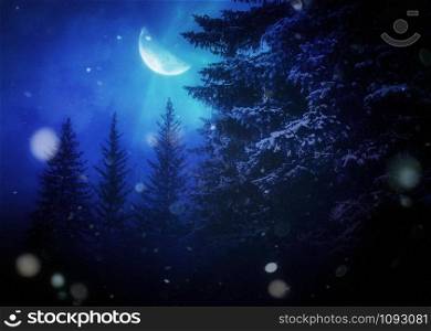 Snowy winter night and fir trees under moonlight.
