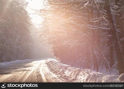 Snowy winter road in a wood. Winter forest in Belarus