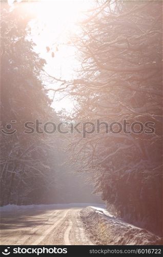 Snowy winter road in a wood. Winter forest in Belarus