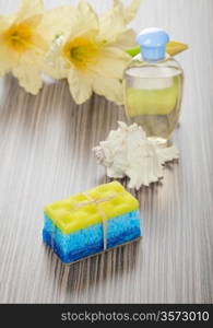 soap bath sponge cockle shell bottle and flower