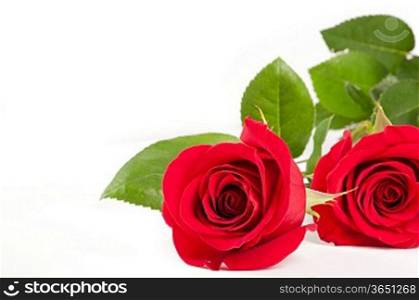 Soap, pink rose and aromatic salt on a white background