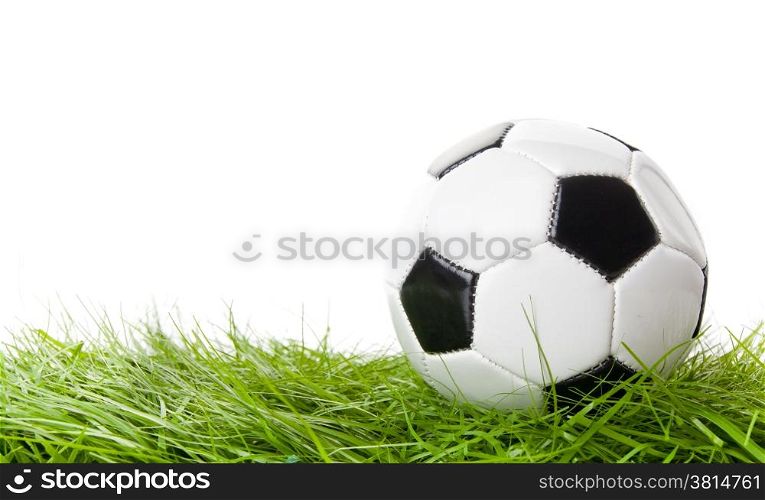 soccer ball on the green field. ball on the grass