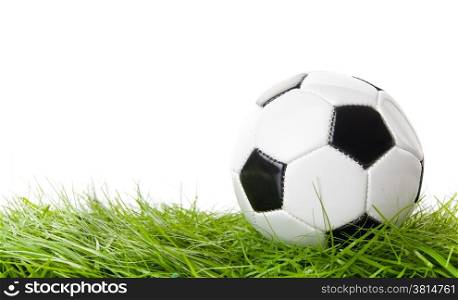 soccer ball on the green field. ball on the grass