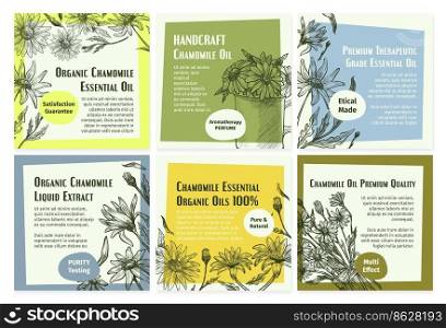 Social media banner set with natural chamomile oil. Herbal essential advertising at network web page collection, vector illustration. Natural cosmetic promotion with hand drawn floral element. Social media banner set with natural chamomile oil