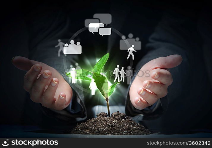 Social network theme with young green sprout rising