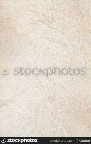 Soft beige leather of the two yeared fox. Textured background