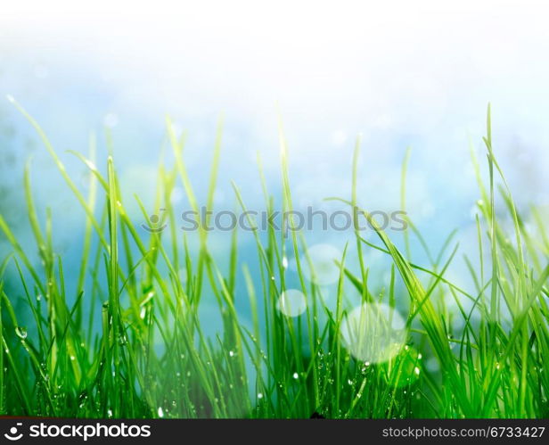 soft blur green grass background