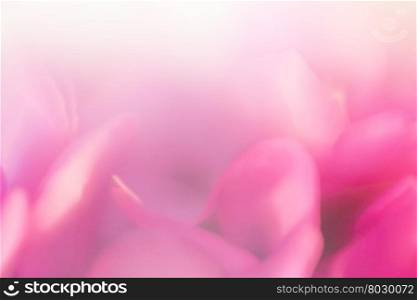 Soft focus flower background. Made with lens-baby and macro-lens.