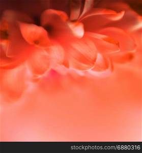 Soft focus flower background with copy space.