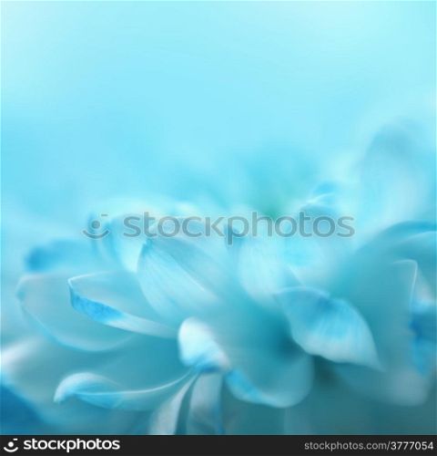 Soft focus flower background with copy space. Made with lensbaby and macrolens.