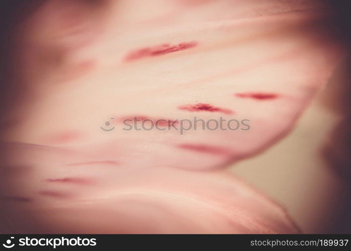 Soft petal flower, extremely close up background.