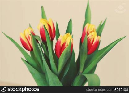 Soft photos. Red and yellow tulips in a vase.
