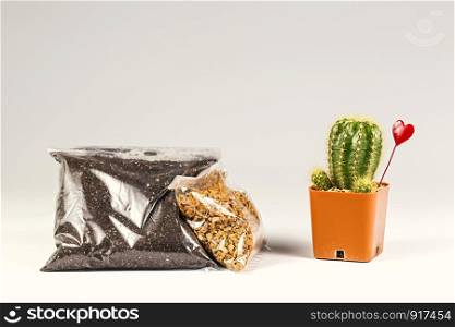 Soil and stone in plastic pack for beginer.Cactus for decoration on the white background.