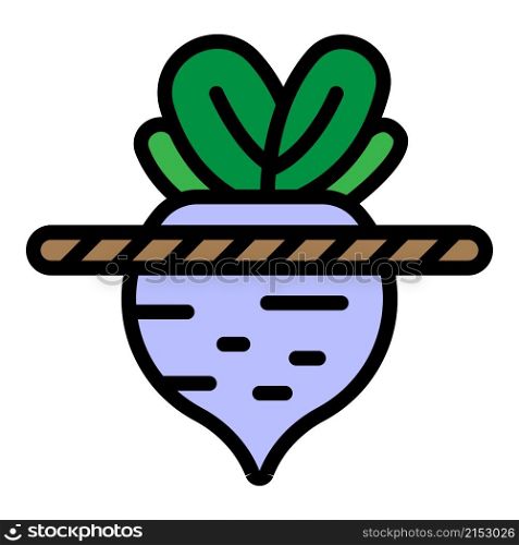 Soil beet icon. Outline soil beet vector icon color flat isolated. Soil beet icon color outline vector