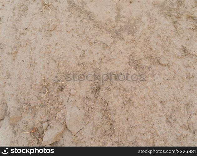 Soil fertile ground surface. Close up of natural pattern texture background. Top view of organic dirt in garden.