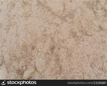 Soil fertile ground surface. Close up of natural pattern texture background. Top view of organic dirt in garden.